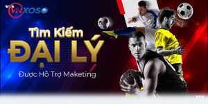 VNXOSO đang tìm kiếm đại lý